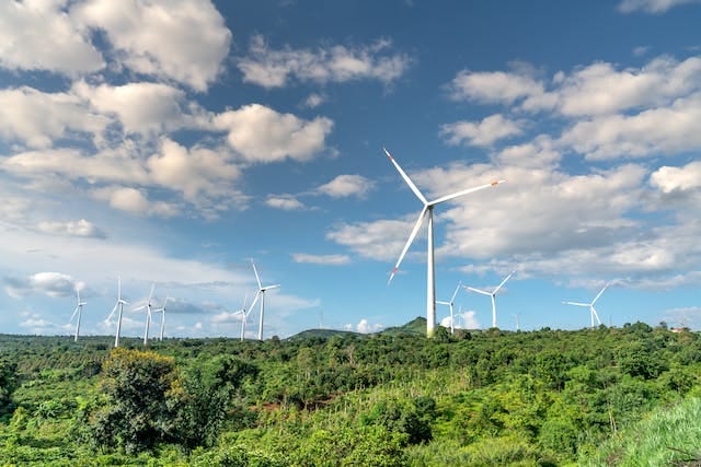 Investing in Renewable Energy: Green Investment Opportunities
